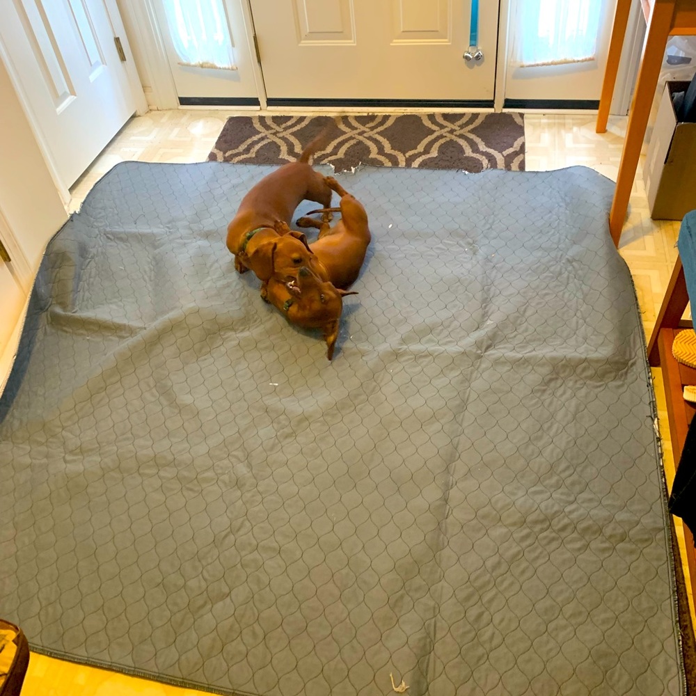 Dog puppy pad, waterproof. Save your carpet!